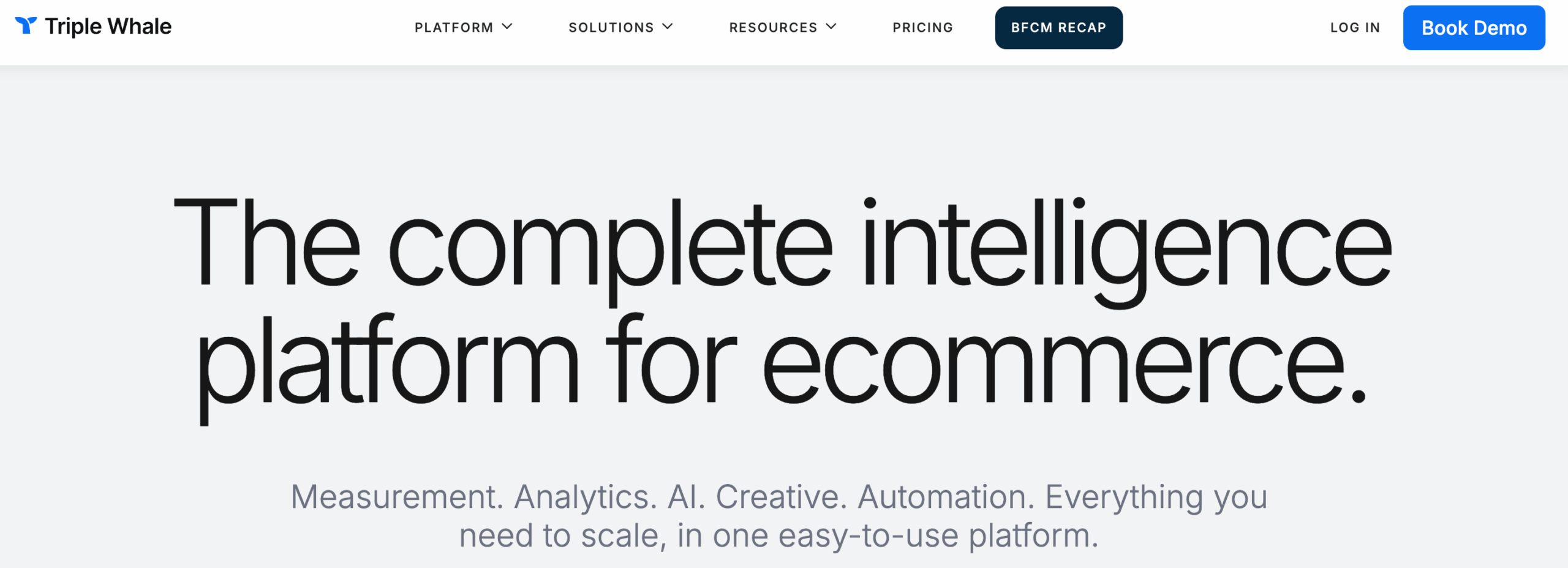 A screenshot of Tripple Whale's homepage.